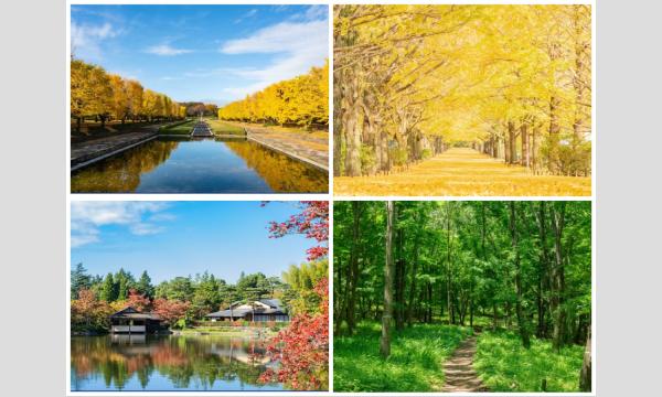 11/9(日)屋外私服撮影会