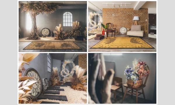 12/28(日)百瀬企画スタジオ撮影会 in東京イベント