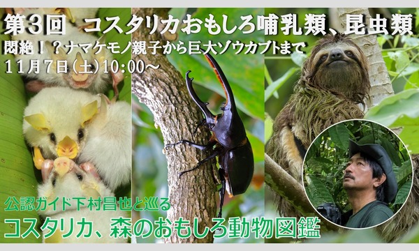 第3回 コスタリカおもしろ哺乳類 昆虫類 悶絶 ナマケモノ親子から巨大ゾウカブトまで 中米カルチャー講座コスタリカ編 パスマーケット
