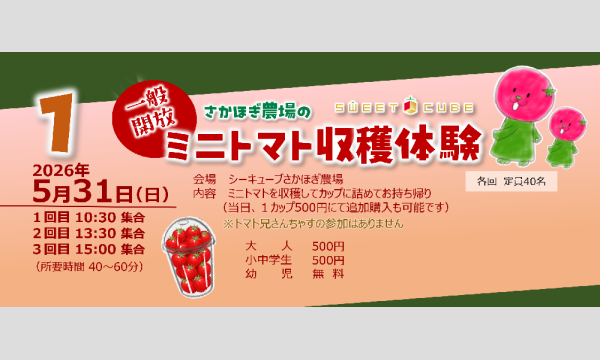 【1】ミニトマト収穫体験 さかほぎ農場 in岐阜イベント
