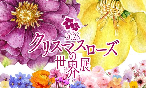 クリスマスローズの世界展 2026