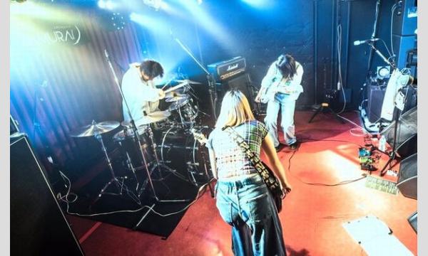 ひややっこ2ndワンマン『スーパーおとうふビュッフェ！』応援企画 in東京イベント