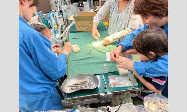 【対象者限定・抽選制】3/9（土） 開催　令和５年度第4回サポーターズデー『（6）動物園の動物病院のお仕事』 イベント画像1