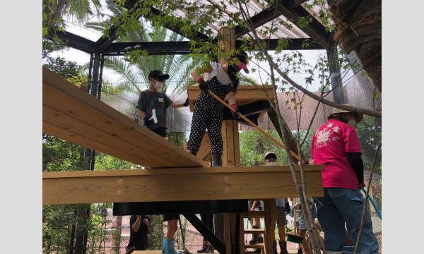 令和5年度動物サマースクール（小学生対象・抽選制）『（13）レッサーパンダの飼育員さんになってみよう（8/25』 イベント画像1