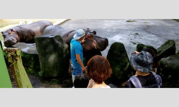 【対象者限定・抽選制】6/24（土） 開催　令和５年度第１回サポーターズデー『（1）大動物の迫力を体感しよう』 イベント画像1