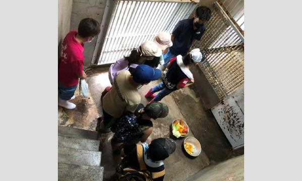 令和5年度動物サマースクール（小学３～６年生対象・抽選制）『（10）2023年　シン・うんこの旅（８/10）』 イベント画像1