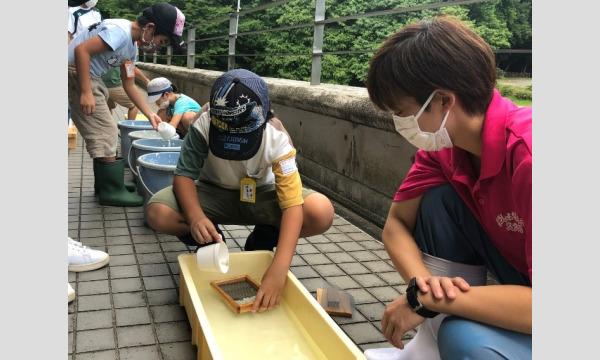 令和5年度動物サマースクール(小学生対象・抽選制)『(4)親子で作ろう、ゾウのフン入りハガキ(7/27)』 イベント画像1