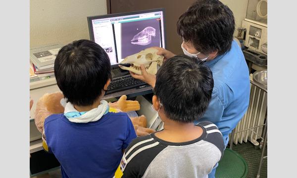 令和5年度動物サマースクール（小学4～６年生対象・抽選制）『（３）一日獣医さん体験（7/26)』 イベント画像1