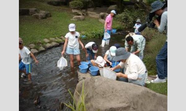 令和5年度動物サマースクール（小学生対象・抽選制）『（６）集まれエサハンター～水生生物ウオッチング～（8/1）』 イベント画像2