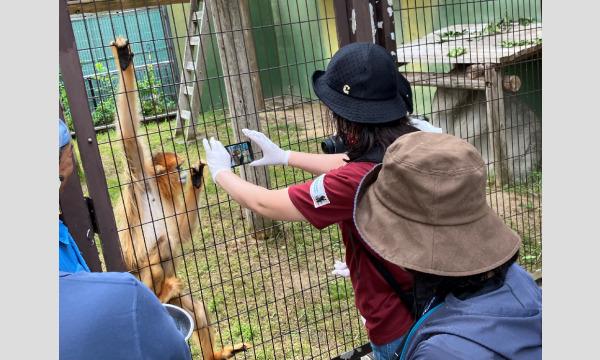 【対象者限定・抽選制】3/9（土） 開催　令和５年度第4回サポーターズデー『（3）キンシコウ、シシオザル、リスザル』 イベント画像1