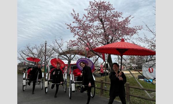 木曽岬町の美しい桜並木を人力車で巡ろう！（木曽岬町さくらまつり）