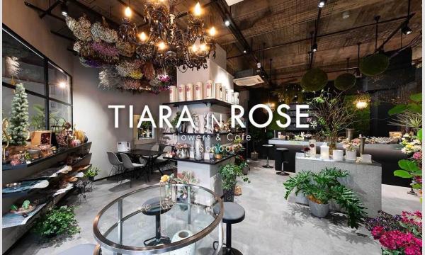 ろりーと過ごすふんわりお茶会 イベント画像2