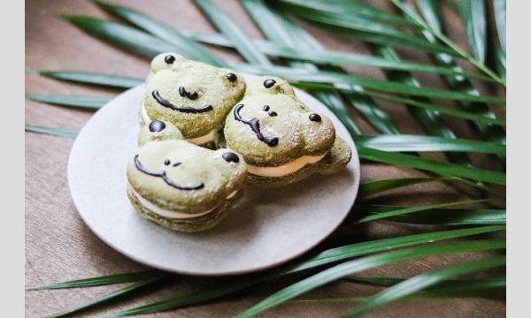 全席に本物のカエルがいるカフェ【喫茶 かえる君と私。】神楽坂店 in