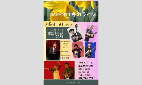 『 DAFFODIL冬のライブ Daffodil and Friends 』 イベント画像1
