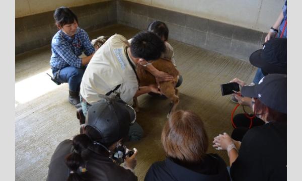 Zoo Academy実習版　大人のための動物園獣医師体験　2024年11月23日 イベント画像2