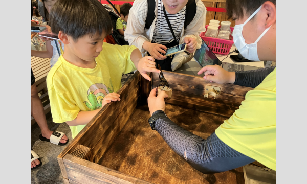 学び教室！昆虫たちに触れてみよう！ イベント画像2