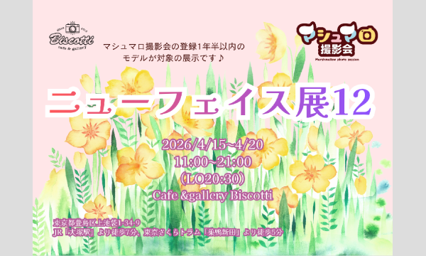 マシュマロニューフェイス展1２　 2026/4/15(水)〜2026/4/20(月) 参加者募集！ イベント画像1