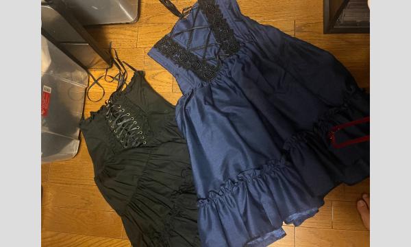 マシュマロ撮影会　2025/10/25(土)[秋元るいx 高樹まいこx風車xコスモス]少人数撮影会in 船橋金堀町 イベント画像2