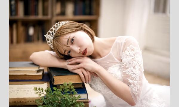 マシュマロ撮影会　2026/3/8(日)　スタジオnora大森個人撮影会 イベント画像2