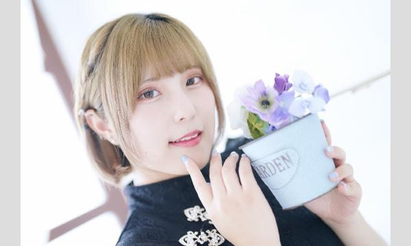 マシュマロ撮影会　2025/8/13(水)　スタジオ華tiru個人撮影会 イベント画像2