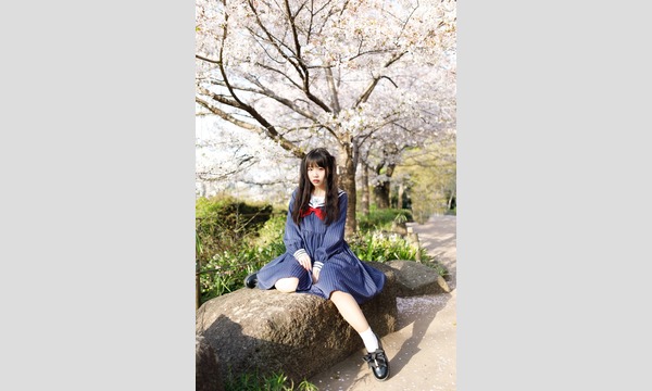 マシュマロ撮影会　2019/3/22(金)　【桜狙い!!】播磨坂エリア個人撮影会 イベント画像3