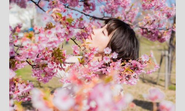 マシュマロ撮影会　2025/7/31(木)　西立川エリア個人撮影会 イベント画像2