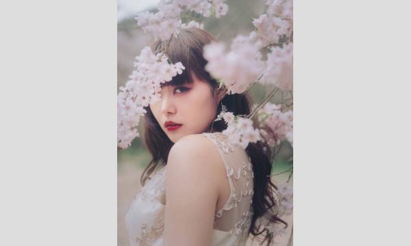 マシュマロ撮影会　2025/6/23(月)　高幡不動エリア個人撮影会 イベント画像2