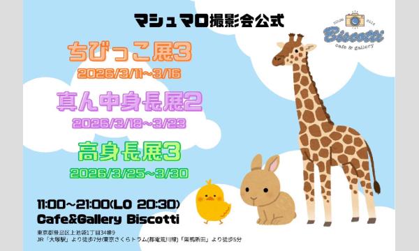 真ん中身長展2 2026/3/18(水)〜2026/3/23(月) 参加者募集！ イベント画像1