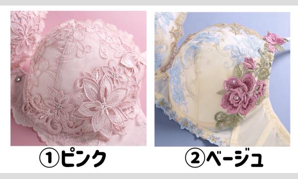 10月18日 (土) バンビーナ撮影会 なる子 in東京 - パスマーケット