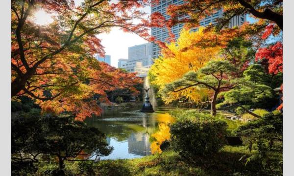 【自主企画】12/14(日)有楽町紅葉＆イルミネーション個撮 イベント画像2