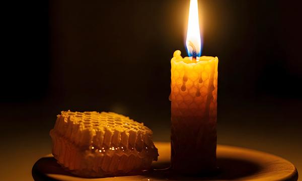 都会で養蜂？ ワークショップ編　クリスマスキャンドルを作ろう in大阪イベント