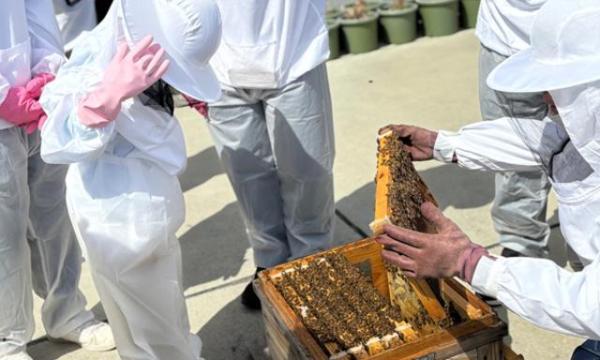 都会で養蜂？秋の養蜂体験！ in大阪イベント