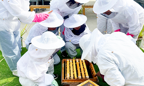 都会で養蜂？春休みミツバチ見学会 in大阪イベント