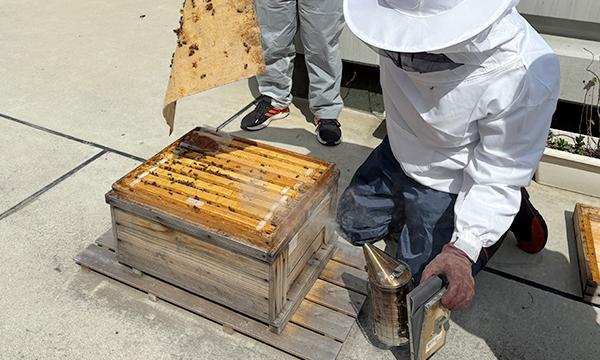 都会で養蜂?大人のための養蜂教室 イベント画像2