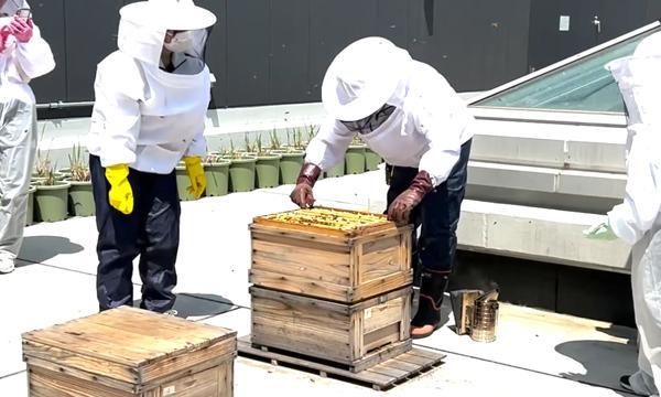 都会で養蜂？マニアックハニー イベント画像2