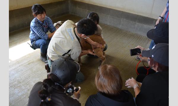 Zoo Academy実習版 大人のための動物園獣医師体験 2025年9月20日 イベント画像2