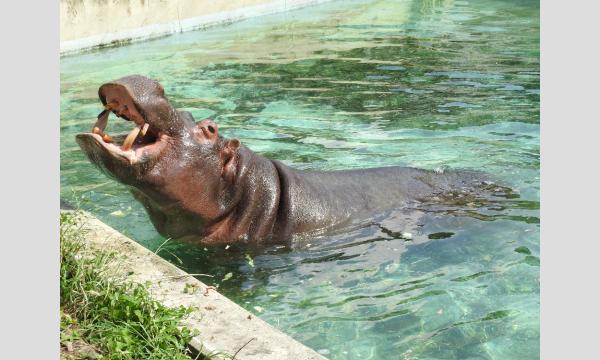 プライベートZOO(1月27日) イベント画像3