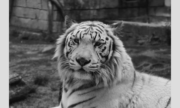 プライベートZOO(2月3日) イベント画像2