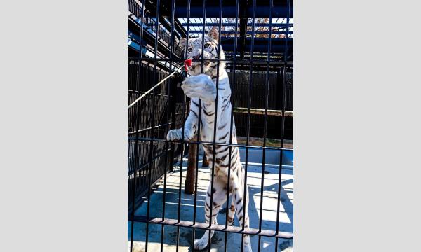 ショートバックヤードツアー(2025年11月8日)