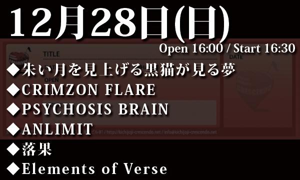 かとゆいライブ なきむし見習いシンガー vol.12 ~かとゆい爆誕編~ in