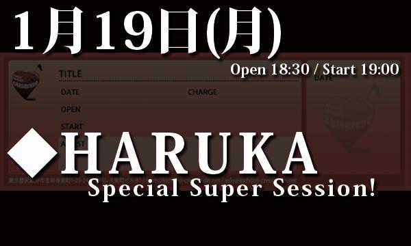 1/19(月) HARUKA Special Super Session！ in東京イベント