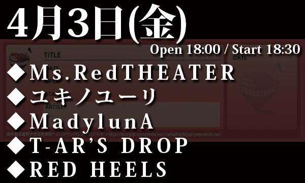 4/3(金) 「Honey Collection vol.74」 in東京イベント