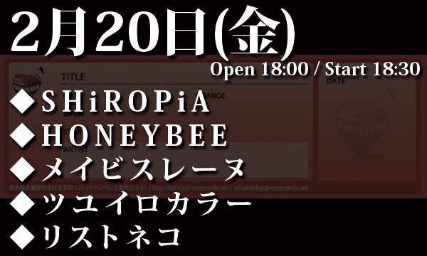LIVEHOUSE CRESCENDOの2/20(金)「SHiROPiA 6th anniversary party」イベント