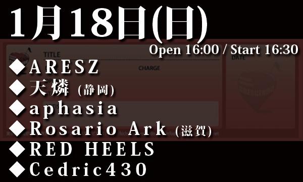 1/18(日) ARESZ主催「瑠海狐&mikio生誕祭☆人生は食べ放題&飲み放題」 in東京イベント