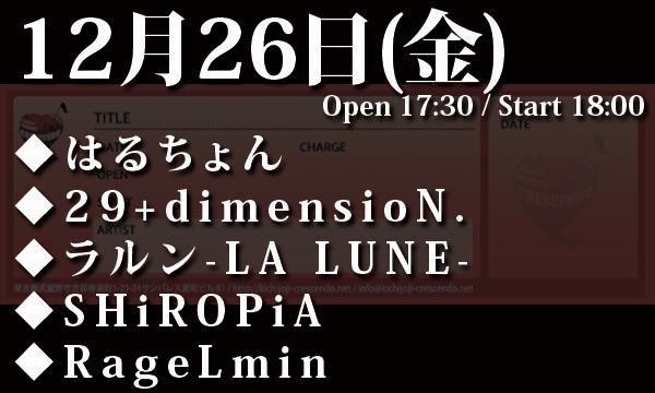 かとゆいライブ なきむし見習いシンガー vol.12 ~かとゆい爆誕編~ in