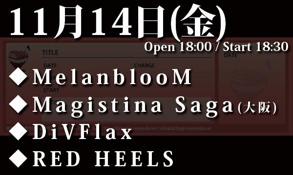 11/14(金) 「Honey Collection vol.67」 in東京イベント