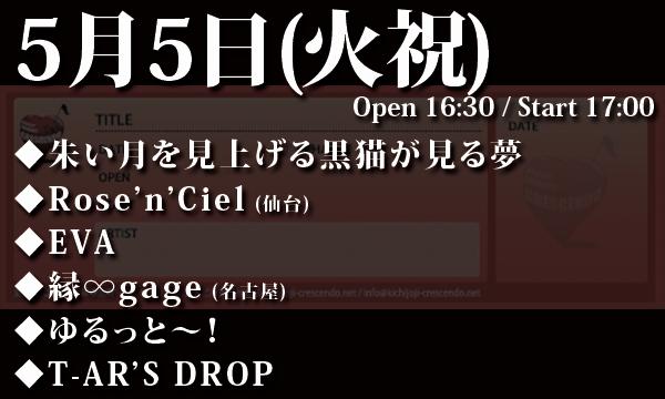 5/5(火祝) 「Honey Collection vol.76」 in東京イベント