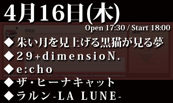 4/16(木) 「Honey Collection vol.75」 in東京イベント