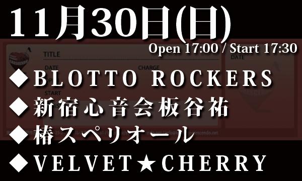 11/30(日) 「BLOTTO ROCKERS presents No Pain, No Gain vol.13」 イベント画像1