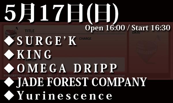 5/17(日) 「SURGE'K presents yuri BD Party NiTE!! -The FINAL2-」 in東京イベント